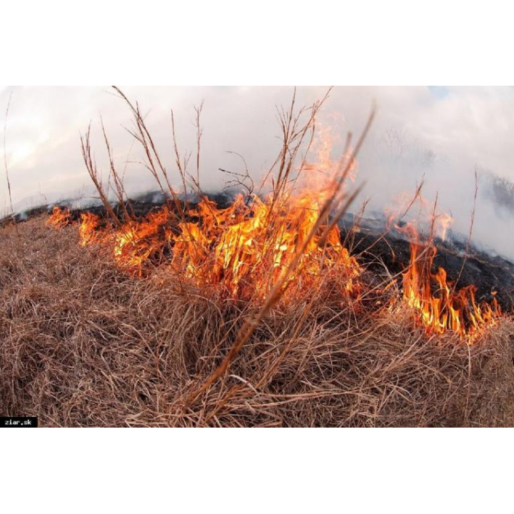 Vypaľovanie trávy je prísne zakázané !